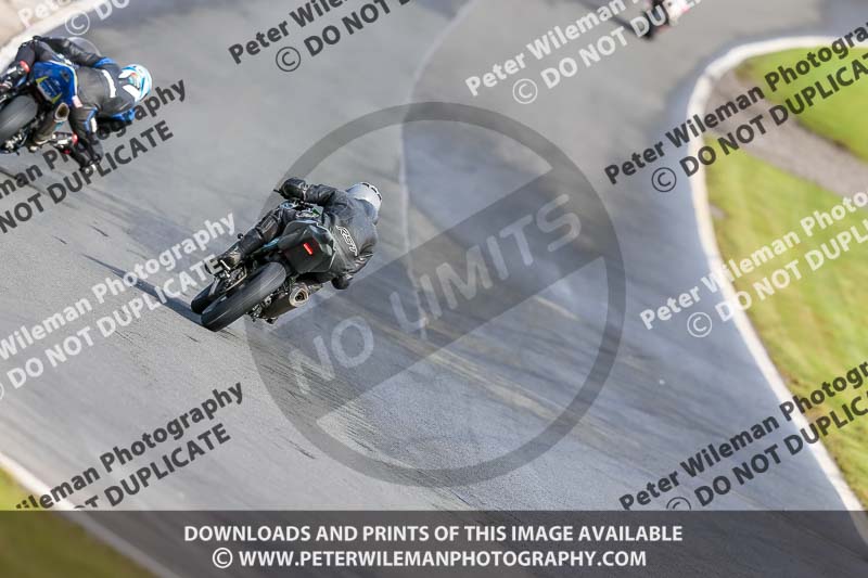 Oulton Park 14th March 2020;PJ Motorsport Photography 2020;anglesey;brands hatch;cadwell park;croft;donington park;enduro digital images;event digital images;eventdigitalimages;mallory;no limits;oulton park;peter wileman photography;racing digital images;silverstone;snetterton;trackday digital images;trackday photos;vmcc banbury run;welsh 2 day enduro